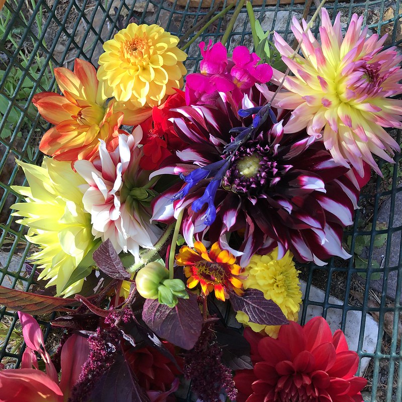 Harvest